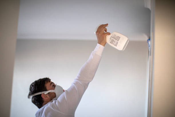 Best Commercial Mold Remediation in Presidio, TX