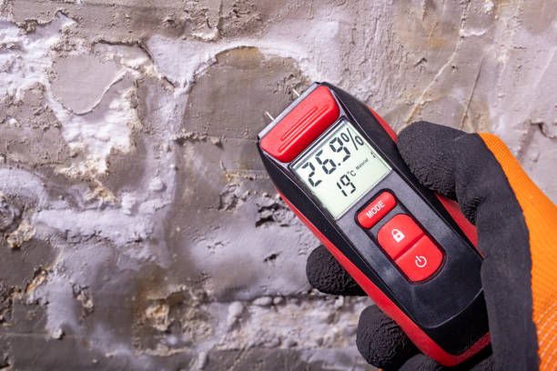 Best Attic Mold Remediation in Presidio, TX